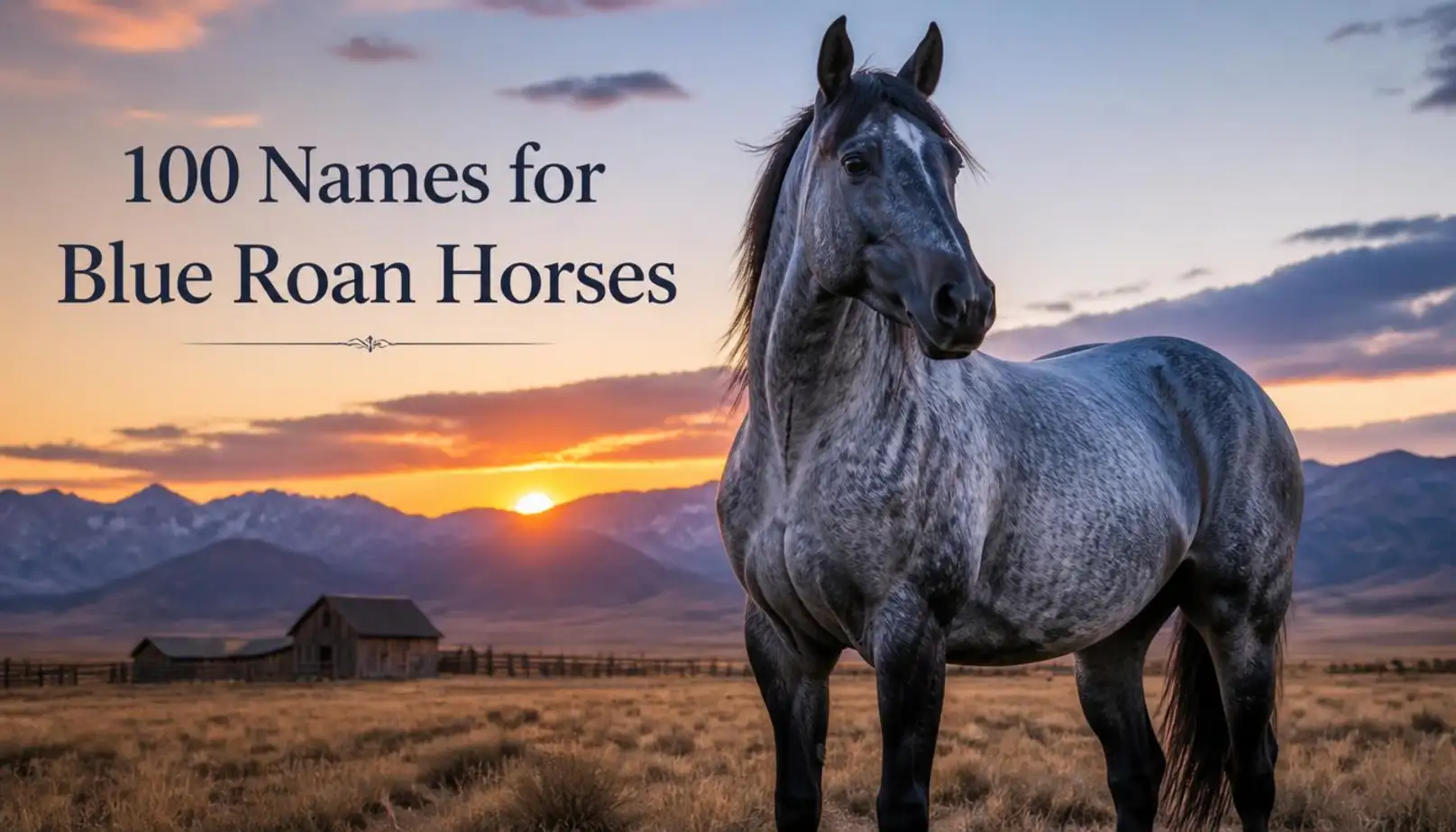 Names for Blue Roan Horses